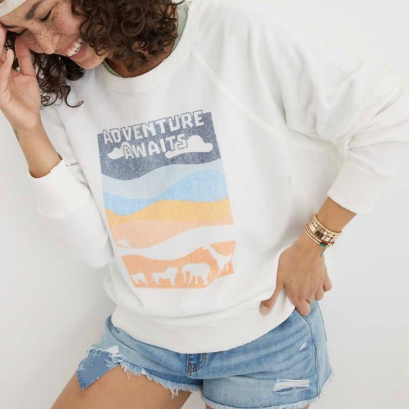 aerie vintage crew sweatshirt